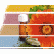 Southern Herb Company Southern Herb Company